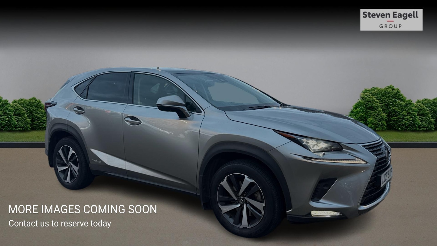 Used Lexus NX for sale - 76550405: Photo 1