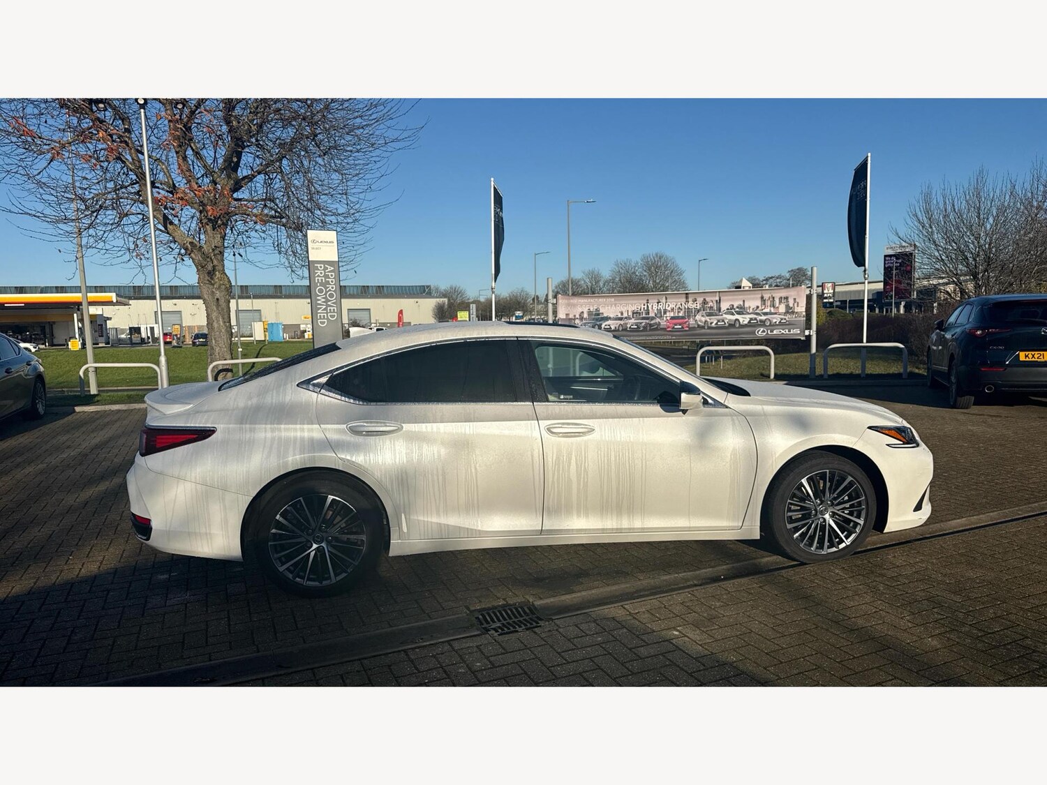 Used Lexus ES 2023 for sale - 76765189: Photo 18