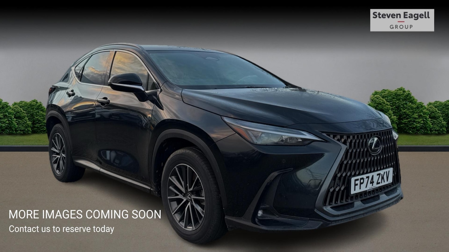 Used Lexus NX for sale - 76824043: Photo 1