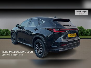 Used Lexus NX 2024 for sale - 76824043: Photo
