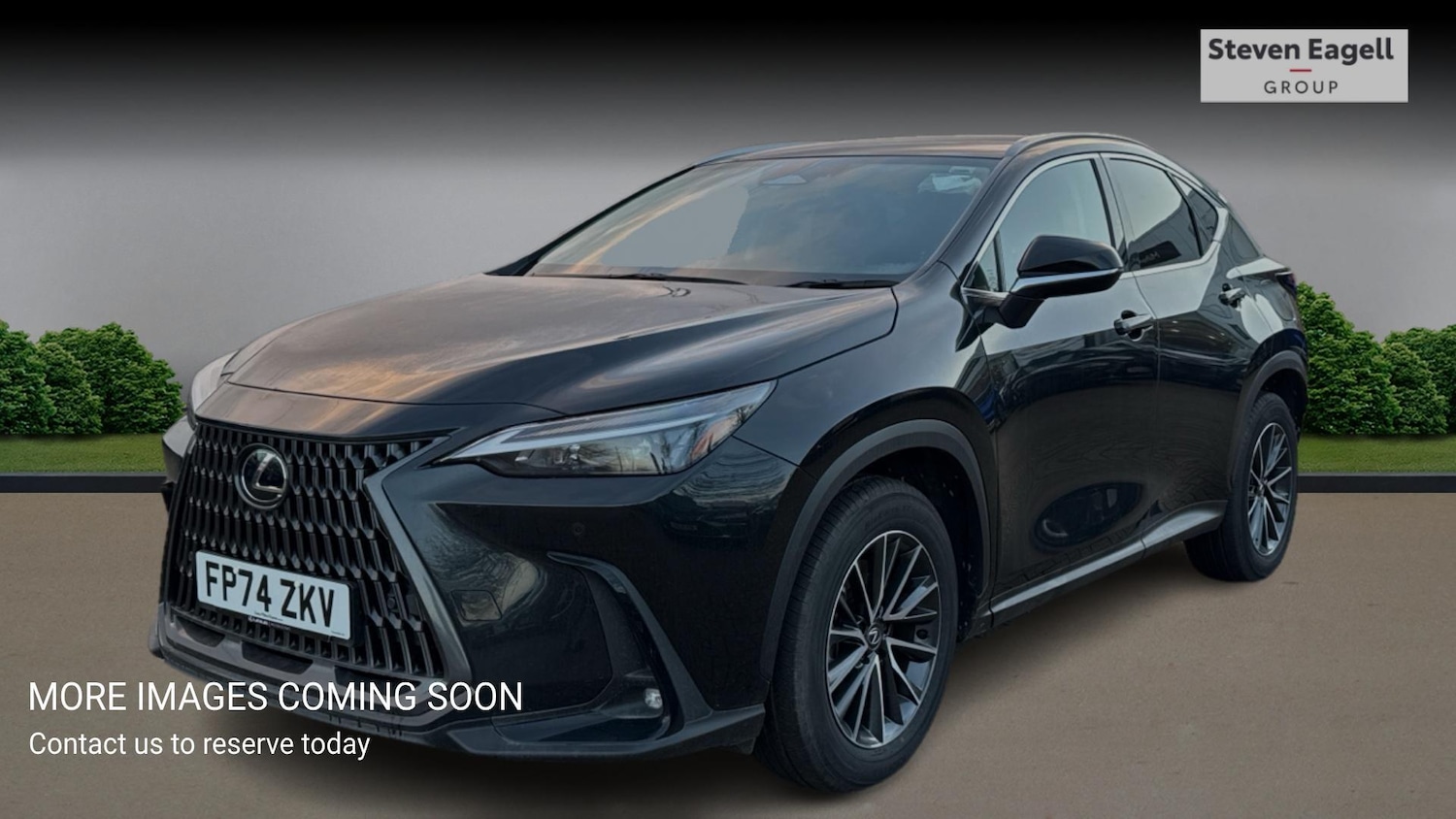 Used Lexus NX for sale - 76824043: Photo 3