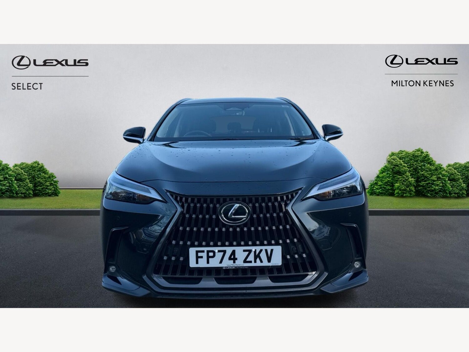 Used Lexus NX 2024 for sale - 76824043: Photo 6