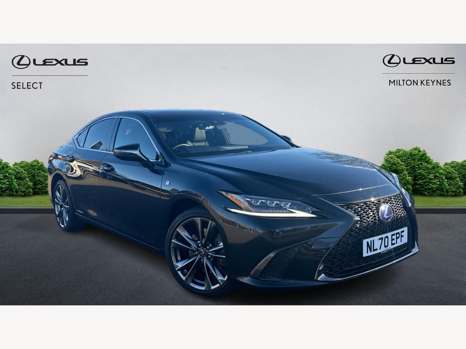 Used Lexus ES 2020 for sale - 76865916: Photo 1