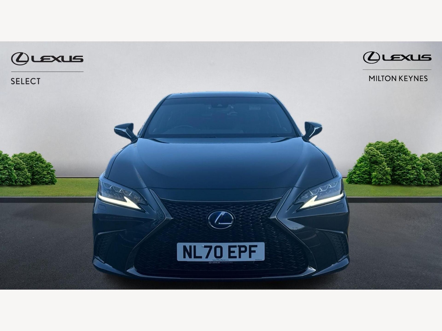 Used Lexus ES 2020 for sale - 76865916: Photo 6