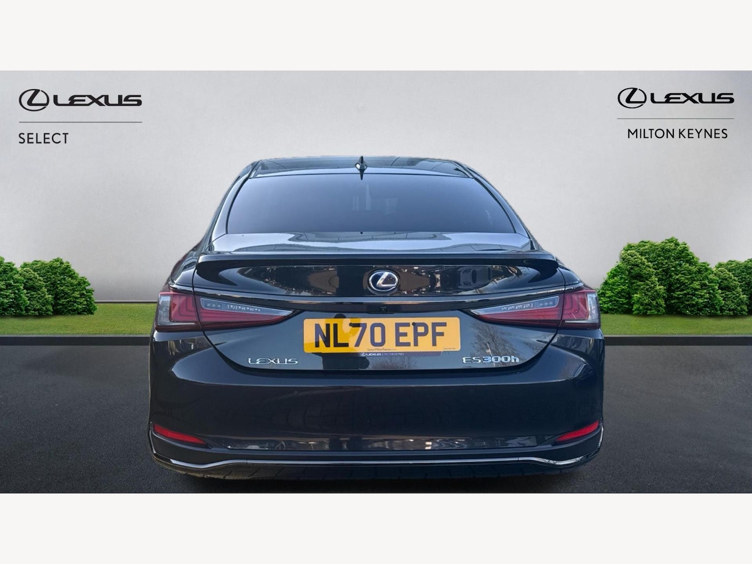 Used Lexus ES 2020 for sale - 76865916: Photo 7