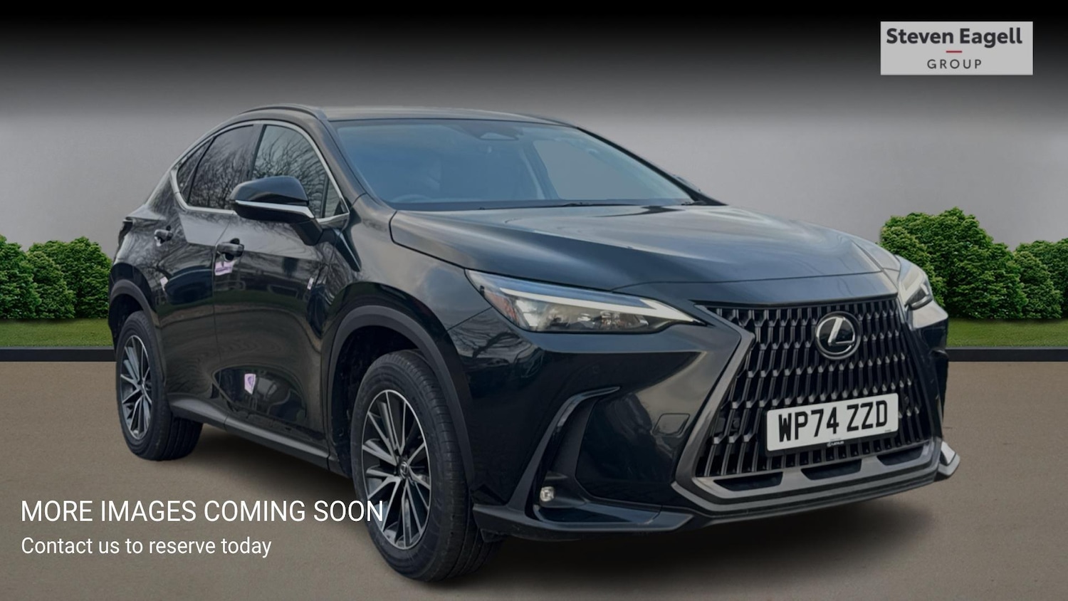 Used Lexus NX 2024 for sale - 76823597: Photo 1