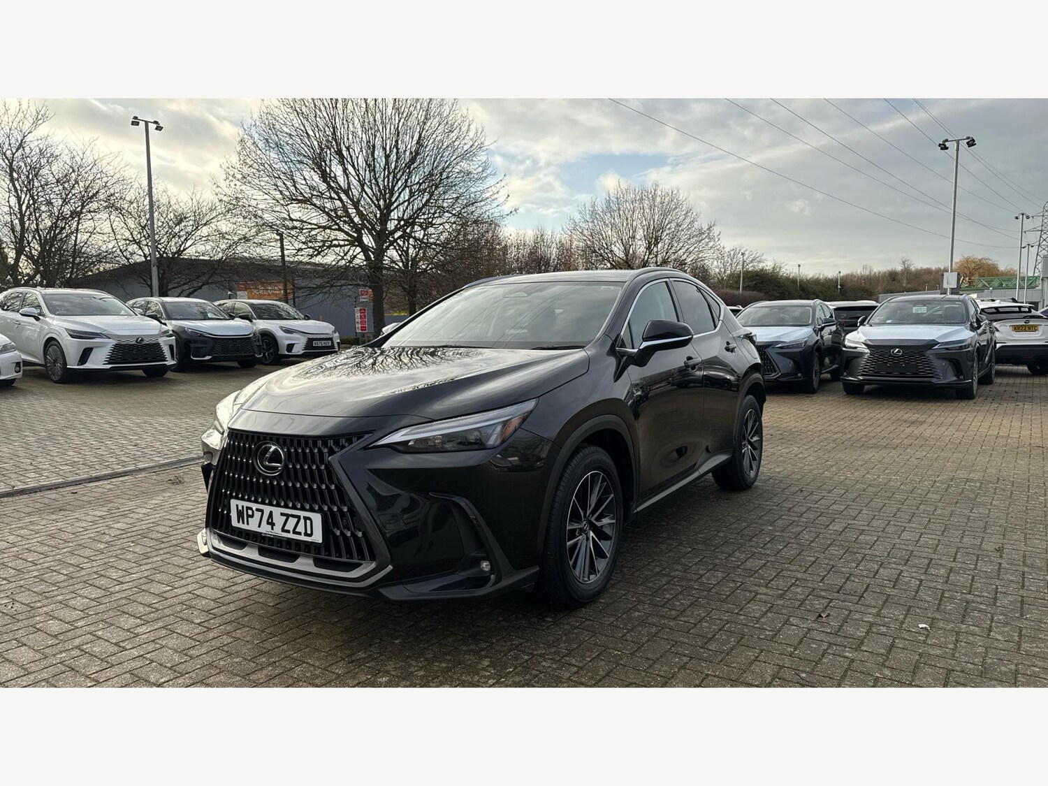 Used Lexus NX 2024 for sale - 76823597: Photo 19