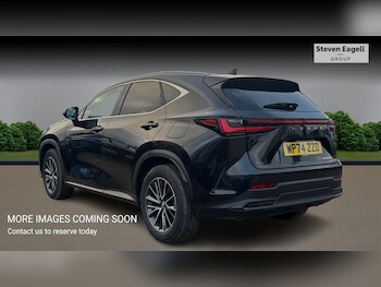 Used Lexus NX 2024 for sale - 76823597: Photo