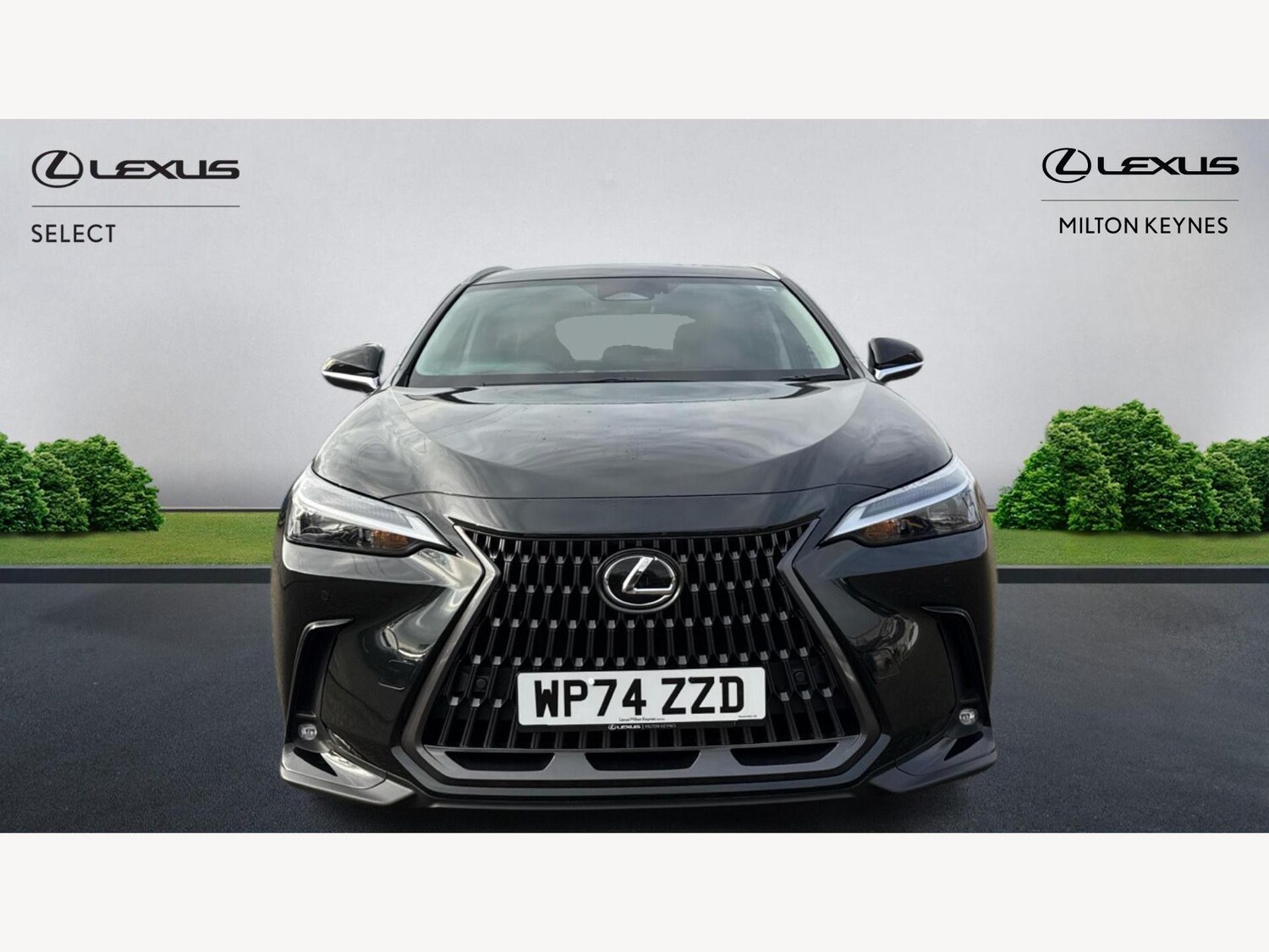 Used Lexus NX 2024 for sale - 76823597: Photo 6