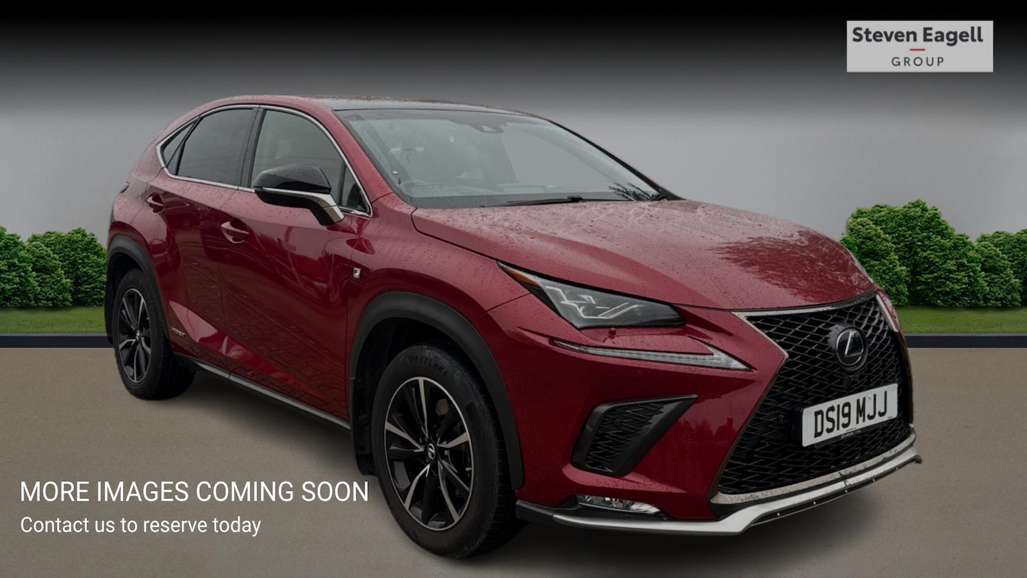 Used Lexus NX 2019 for sale - 76408629: Photo 1