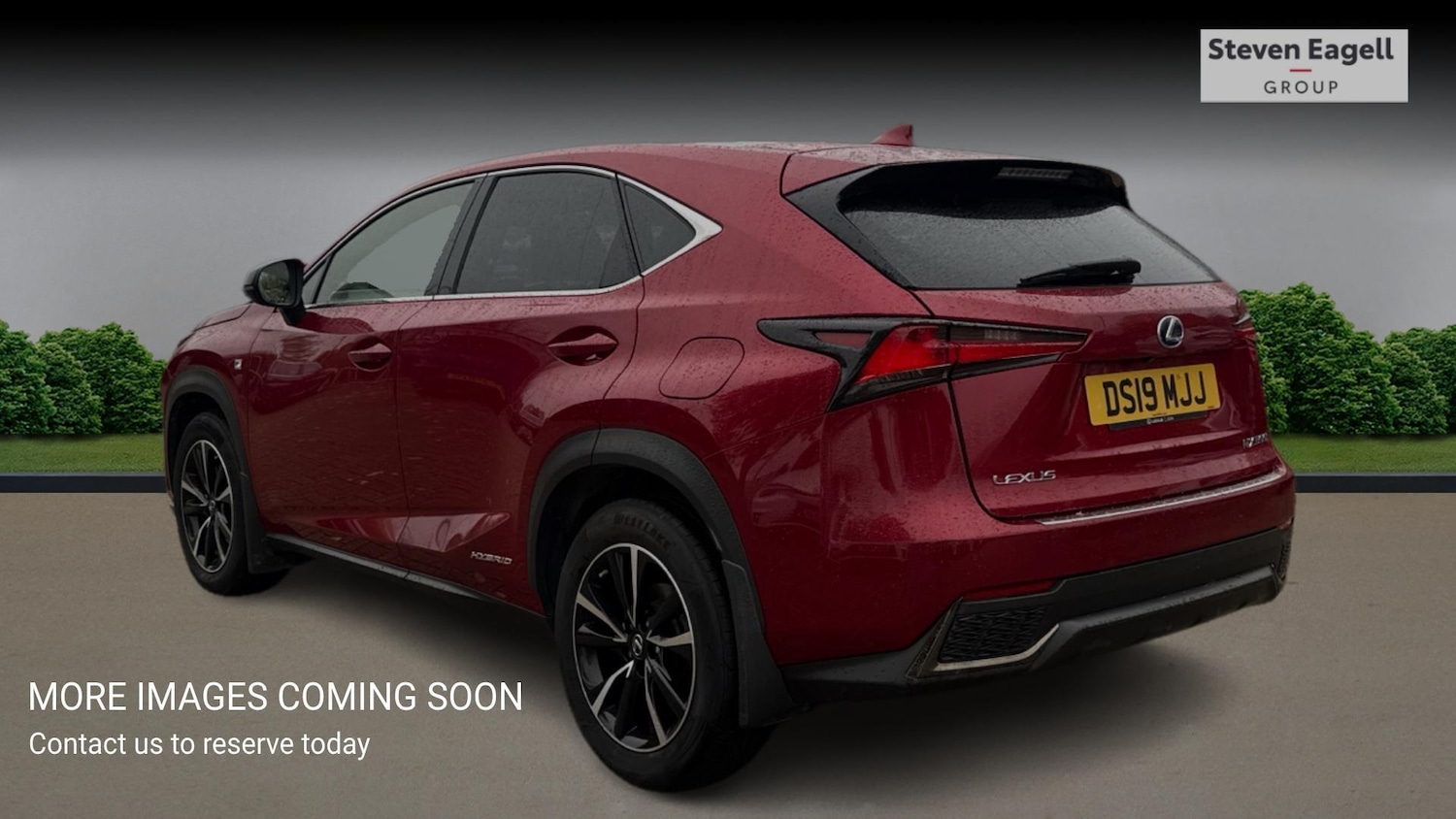 Used Lexus NX 2019 for sale - 76408629: Photo 2