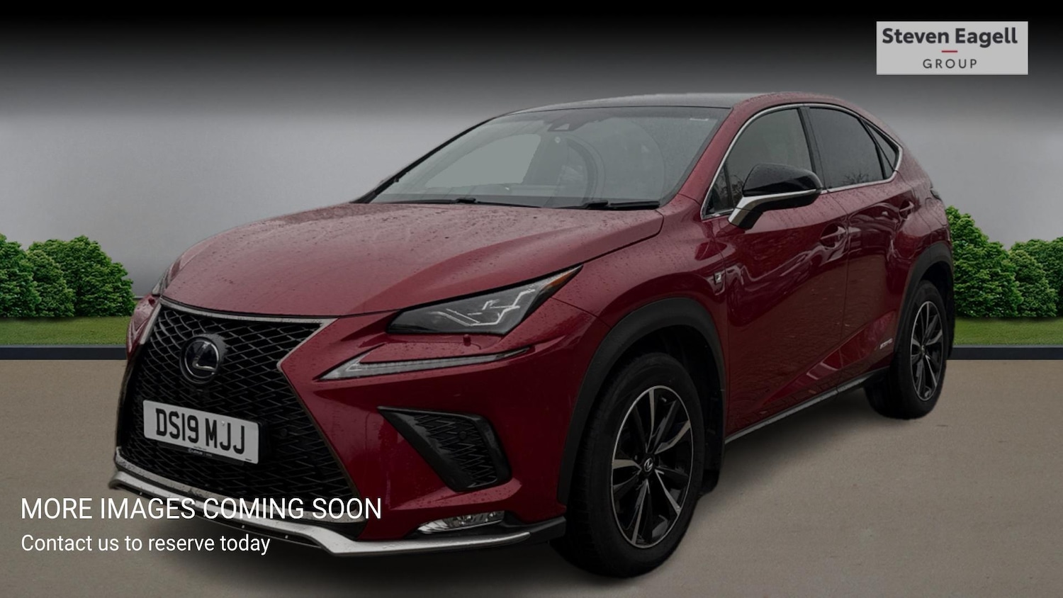 Used Lexus NX 2019 for sale - 76408629: Photo 3