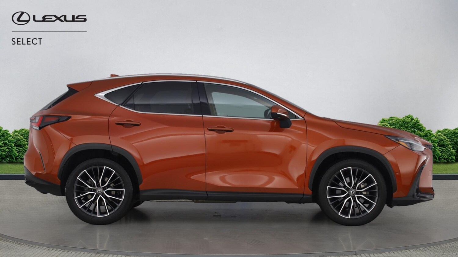 Used Lexus NX for sale - 77215520: Photo 16