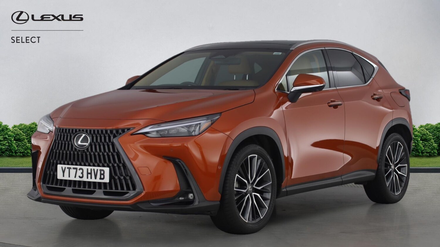 Used Lexus NX for sale - 77215520: Photo 17