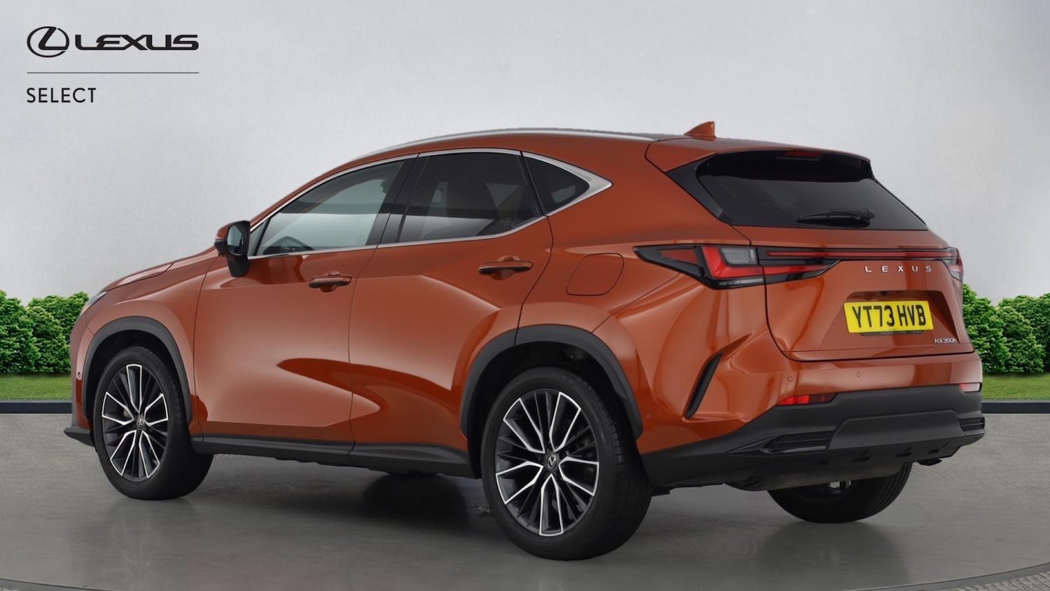 Used Lexus NX for sale - 77215520: Photo 2