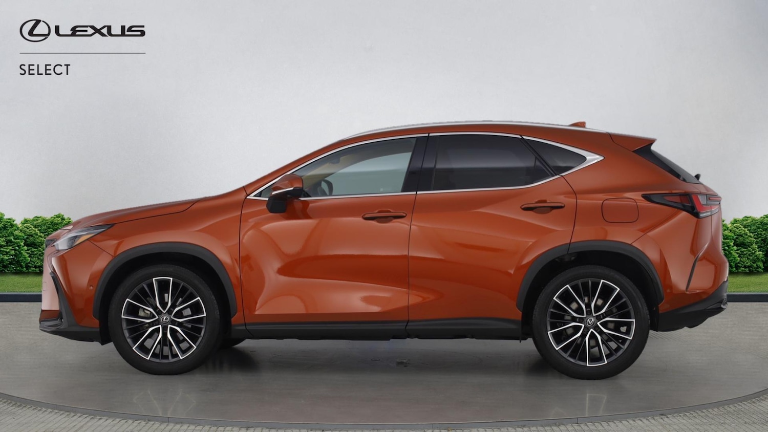 Used Lexus NX for sale - 77215520: Photo 3