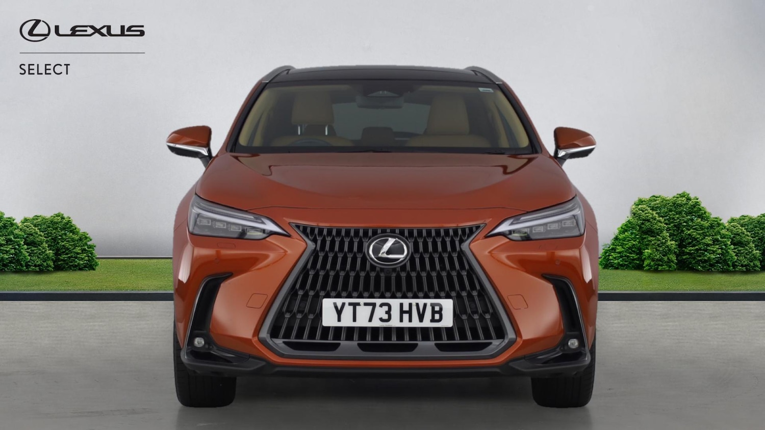 Used Lexus NX for sale - 77215520: Photo 4