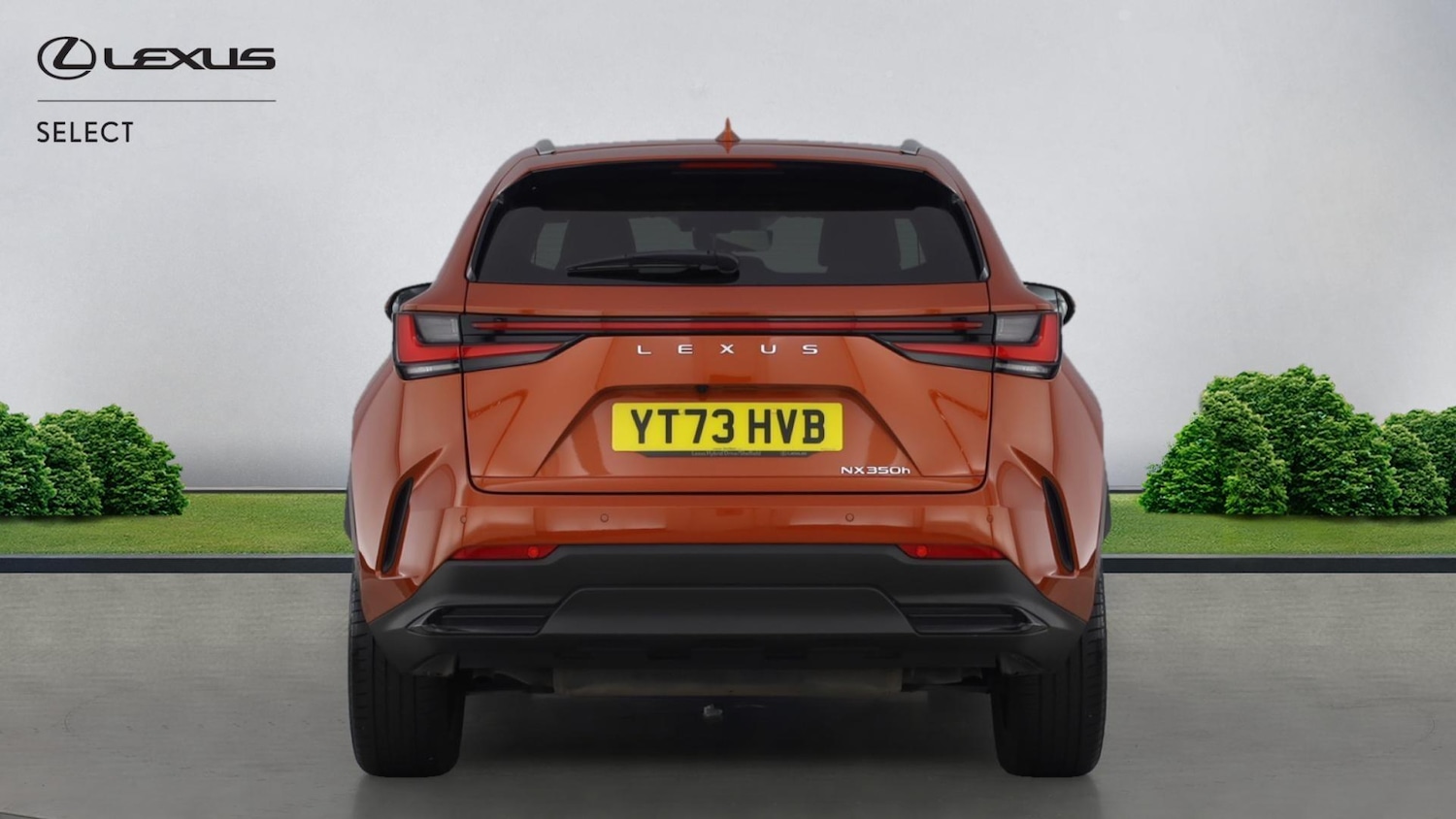 Used Lexus NX for sale - 77215520: Photo 5