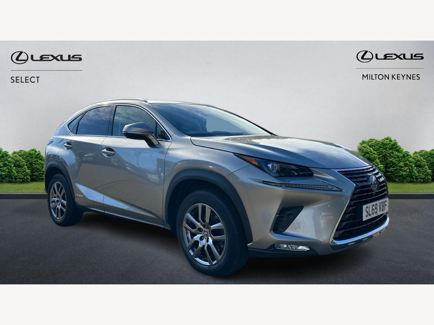 Used Lexus NX 2019 for sale - 76317880: Photo 1