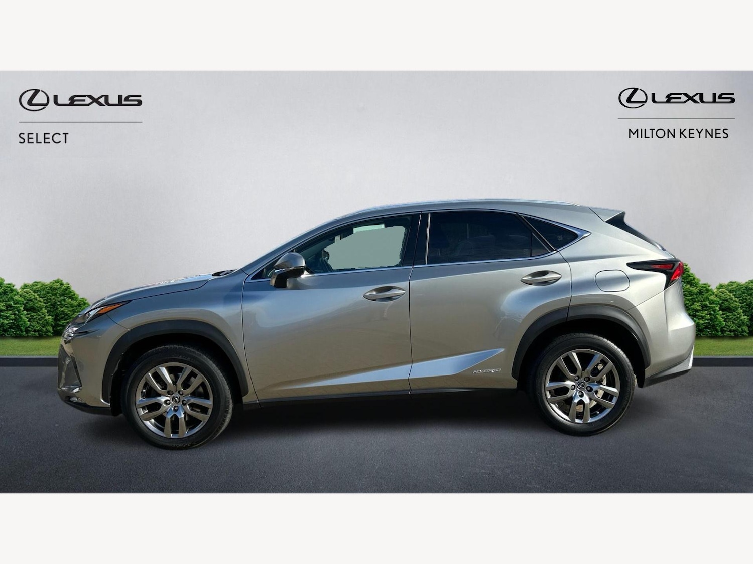 Used Lexus NX 2019 for sale - 76317880: Photo 3