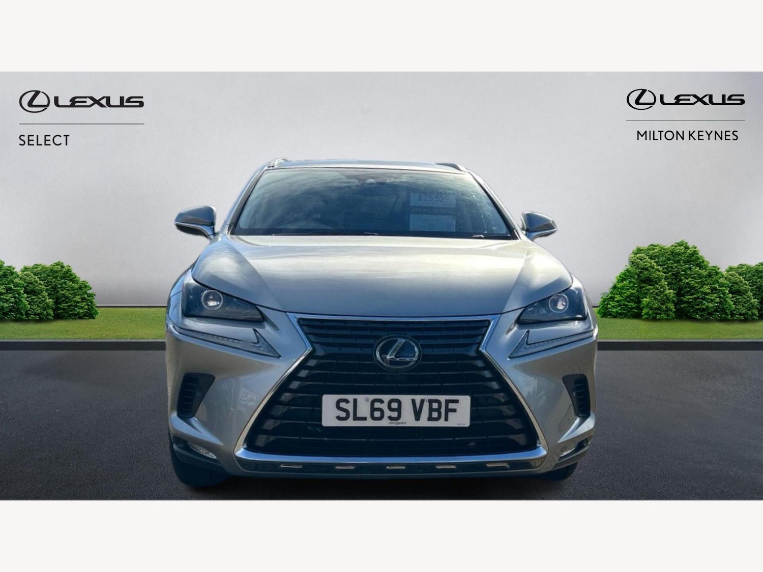 Used Lexus NX 2019 for sale - 76317880: Photo 6