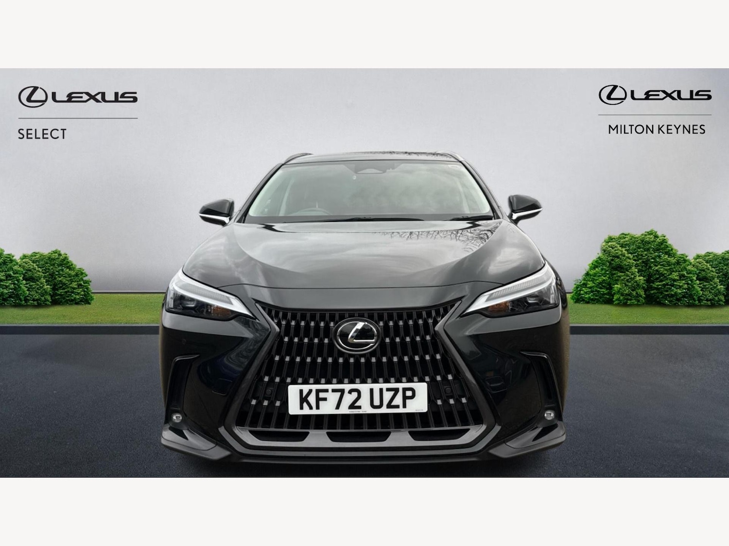 Used Lexus NX 2022 for sale - 77538036: Photo 6