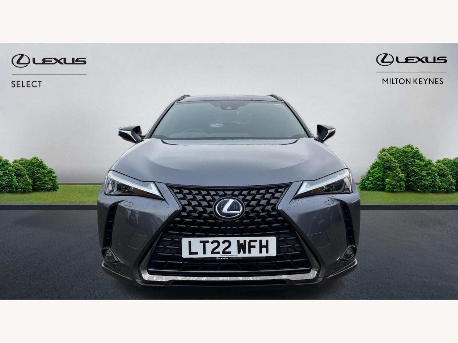 Used Lexus UX 2022 for sale - 76765217: Photo 6