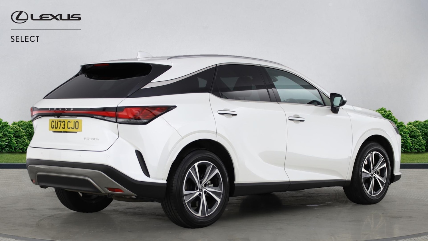 Used Lexus RX 2023 for sale - 77203780: Photo 18