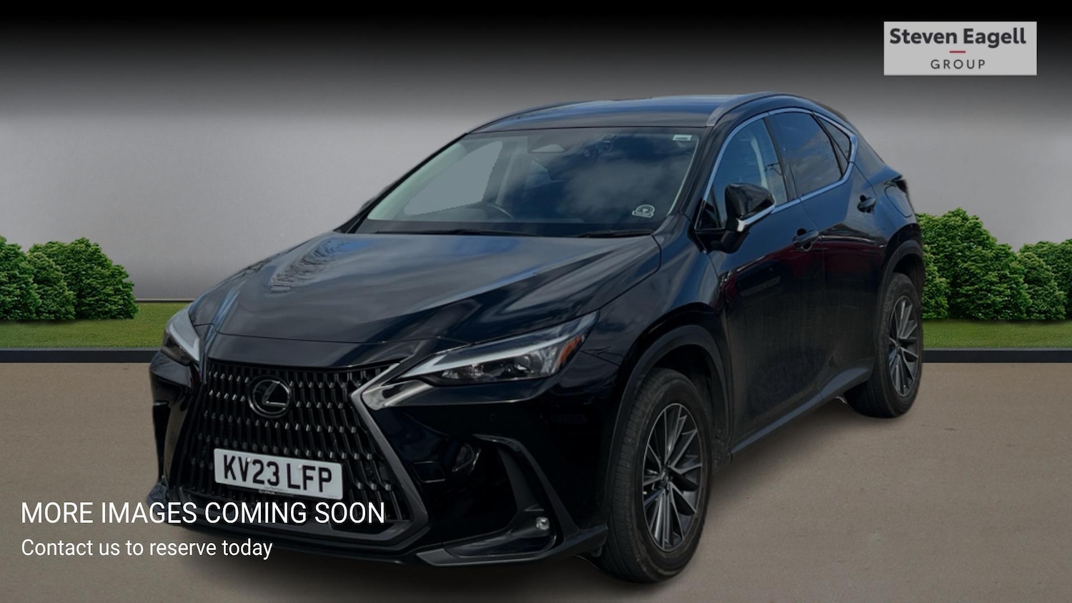 Used Lexus NX for sale - 78136265: Photo 3