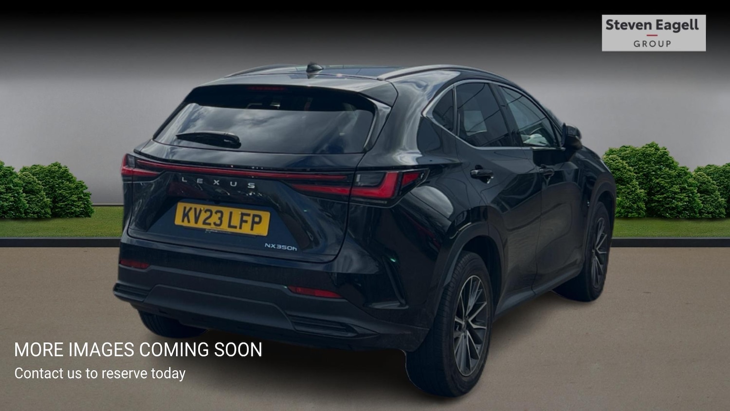 Used Lexus NX for sale - 78136265: Photo 4