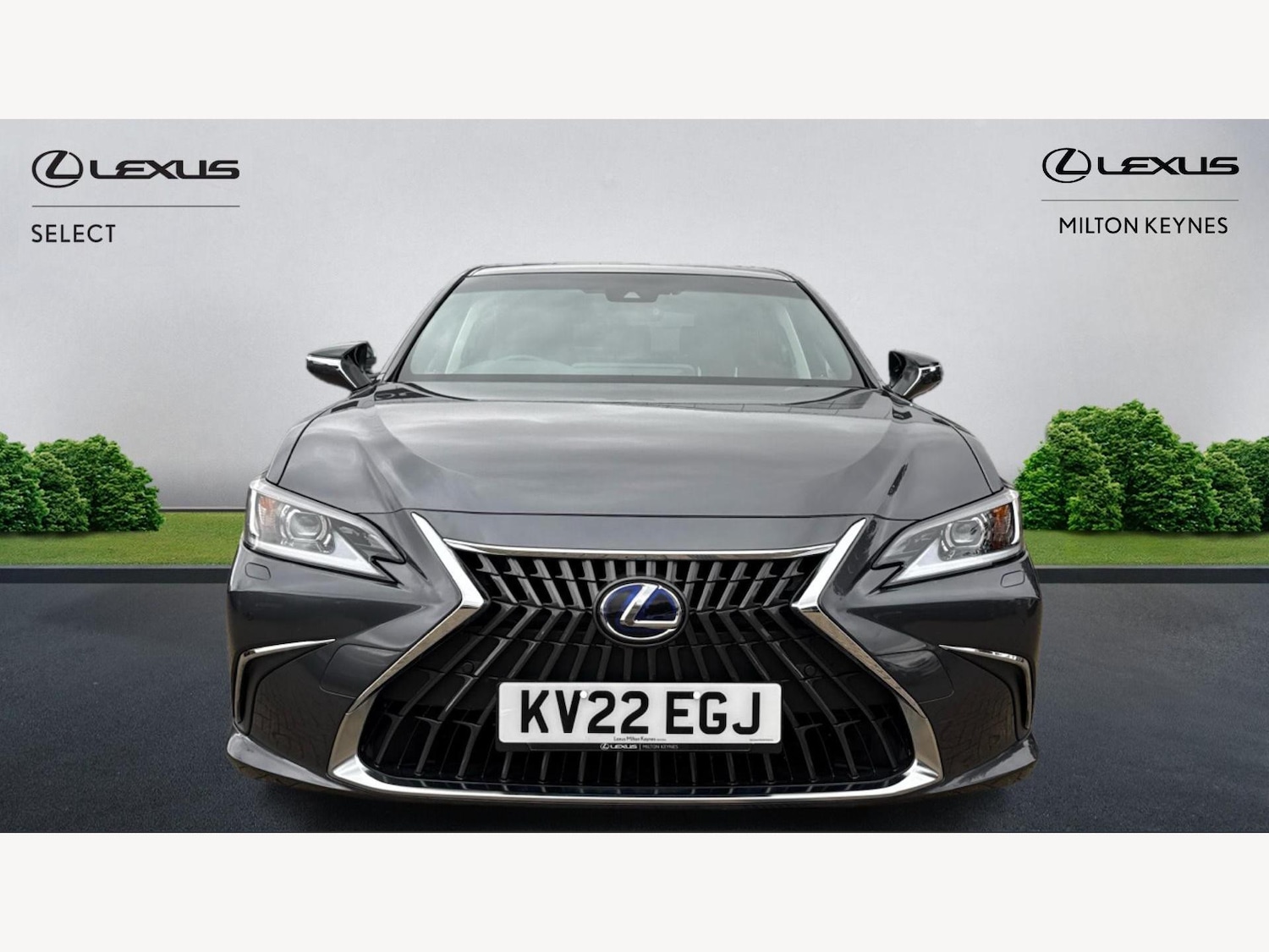 Used Lexus ES 2022 for sale - 76689186: Photo 6