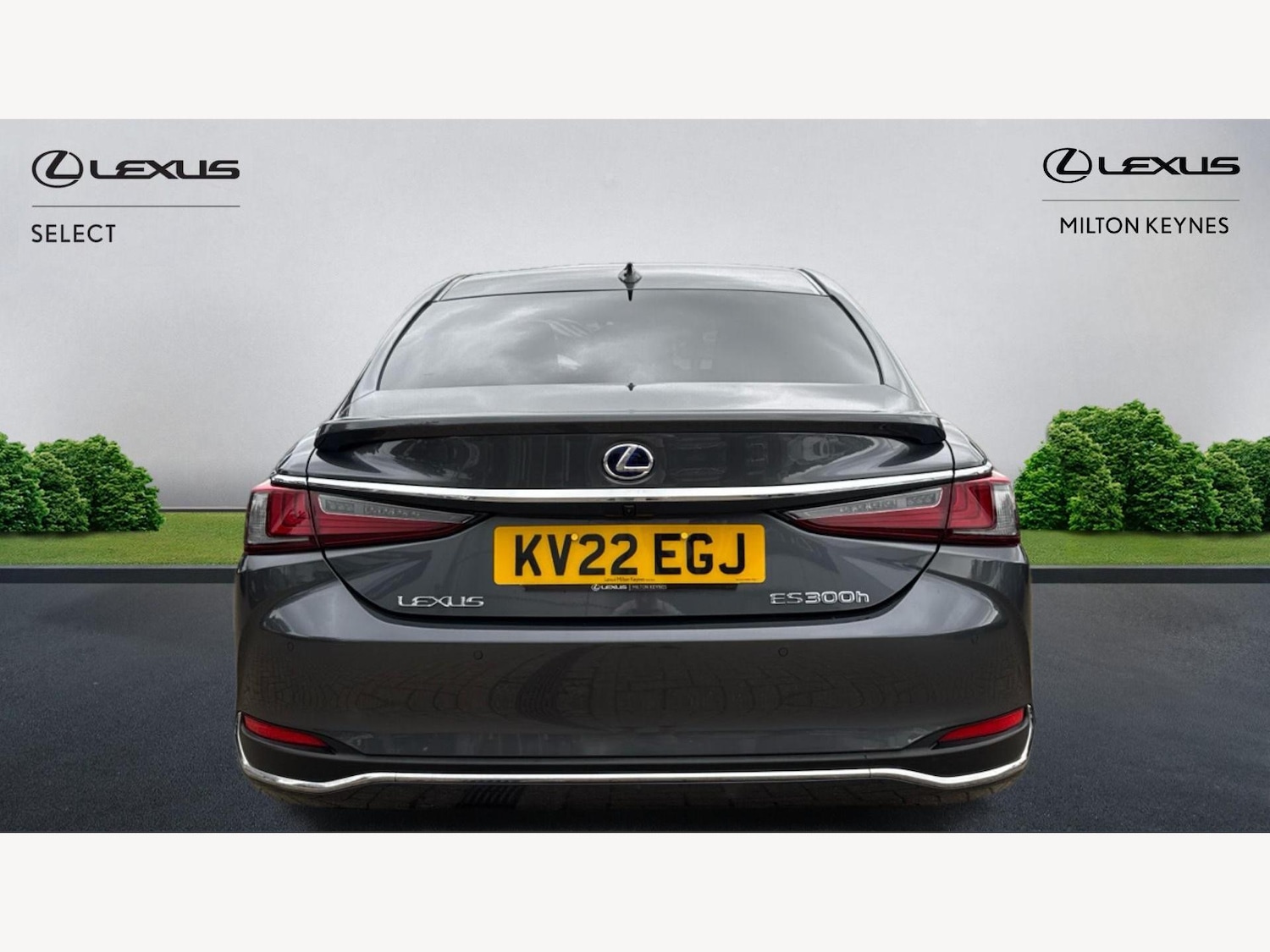 Used Lexus ES 2022 for sale - 76689186: Photo 7