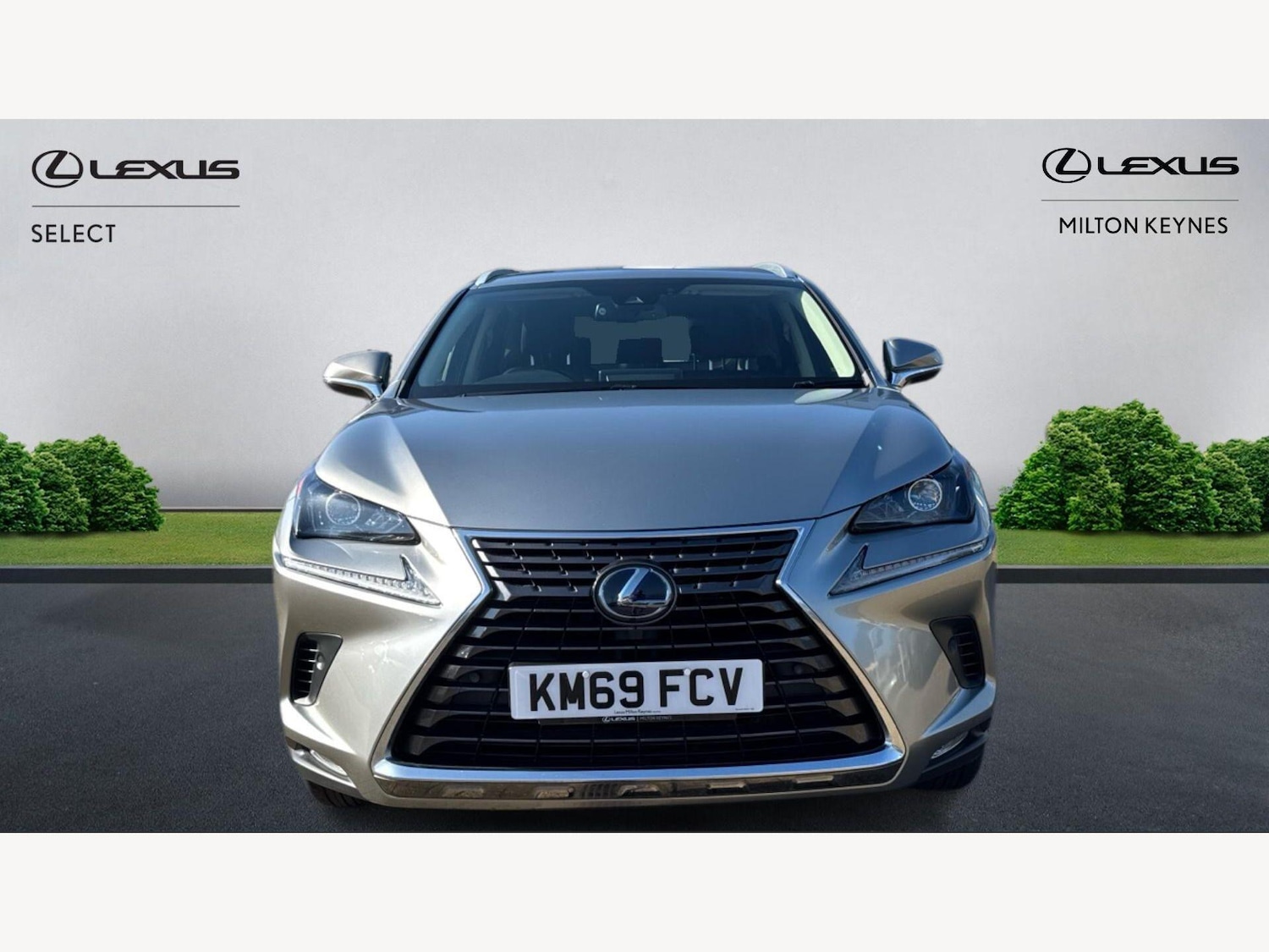 Used Lexus NX 2019 for sale - 77646276: Photo 6