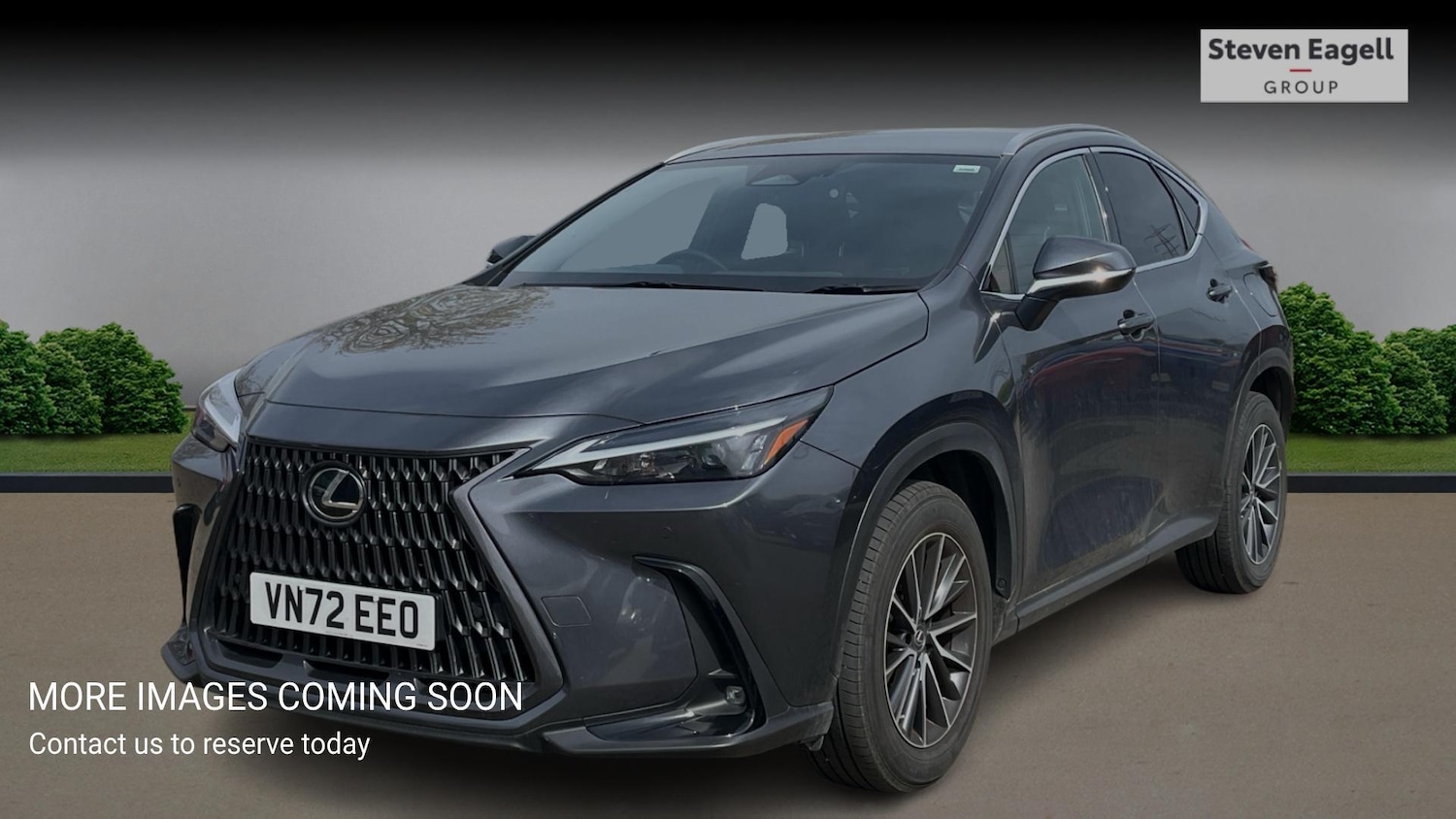 Used Lexus NX for sale - 78219925: Photo 3