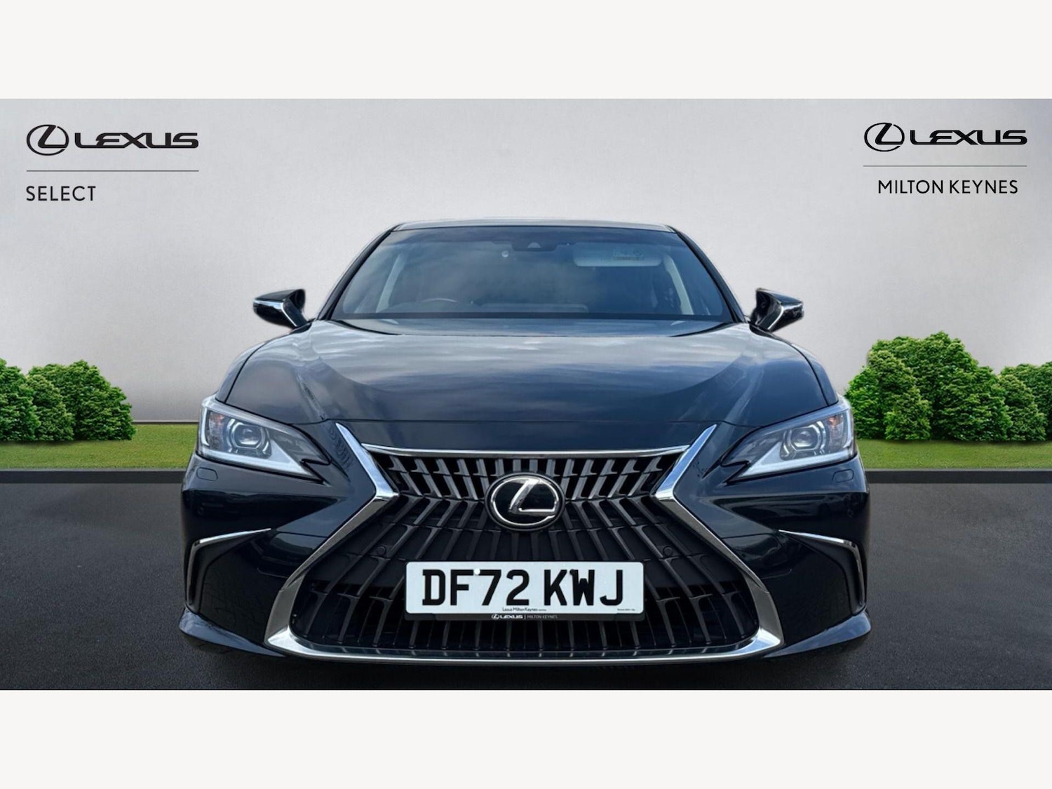 Used Lexus ES 2023 for sale - 77978252: Photo 6