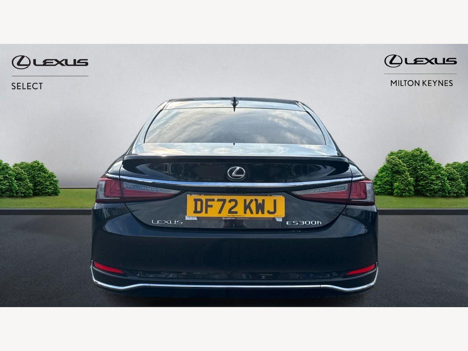 Used Lexus ES 2023 for sale - 77978252: Photo 7