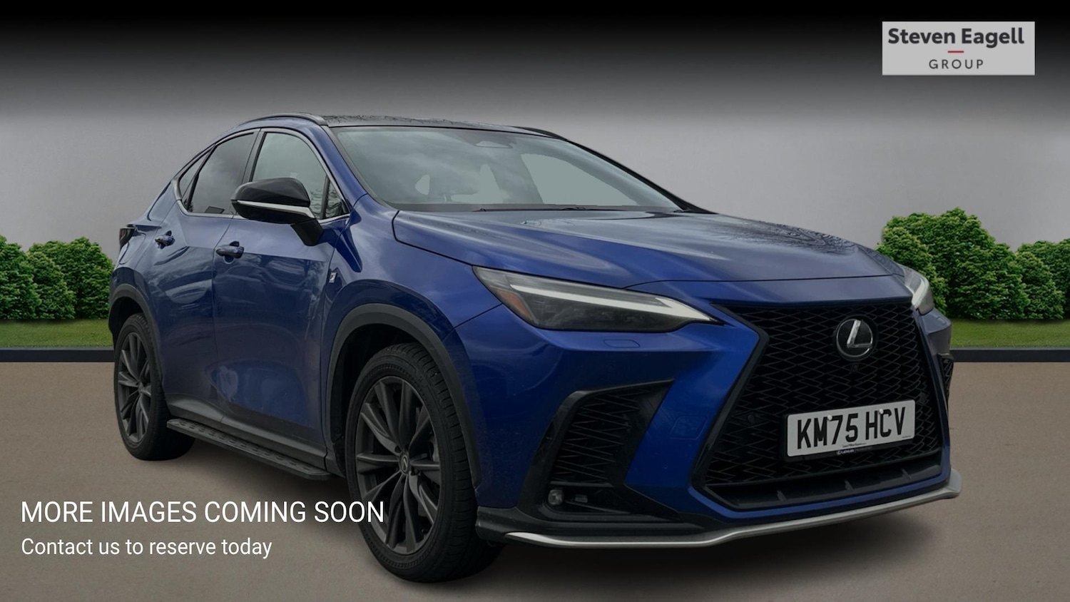 Used Lexus NX for sale - 77683441: Photo 1