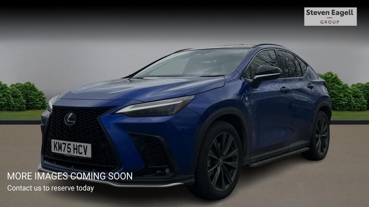Used Lexus NX for sale - 77683441: Photo 3