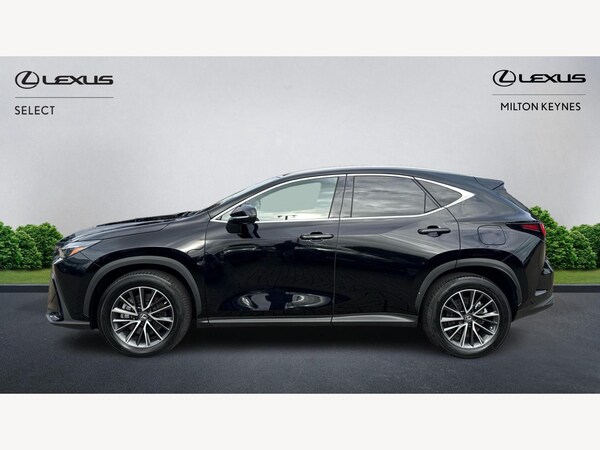 Used Lexus NX 2023 for sale - 76151153: Photo 3