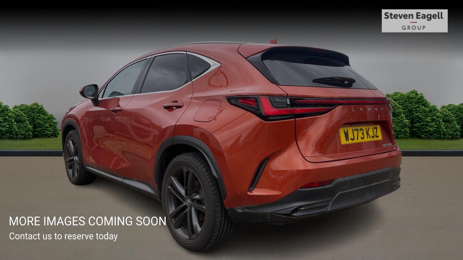 Used Lexus NX 2023 for sale - 77646089: Photo 2