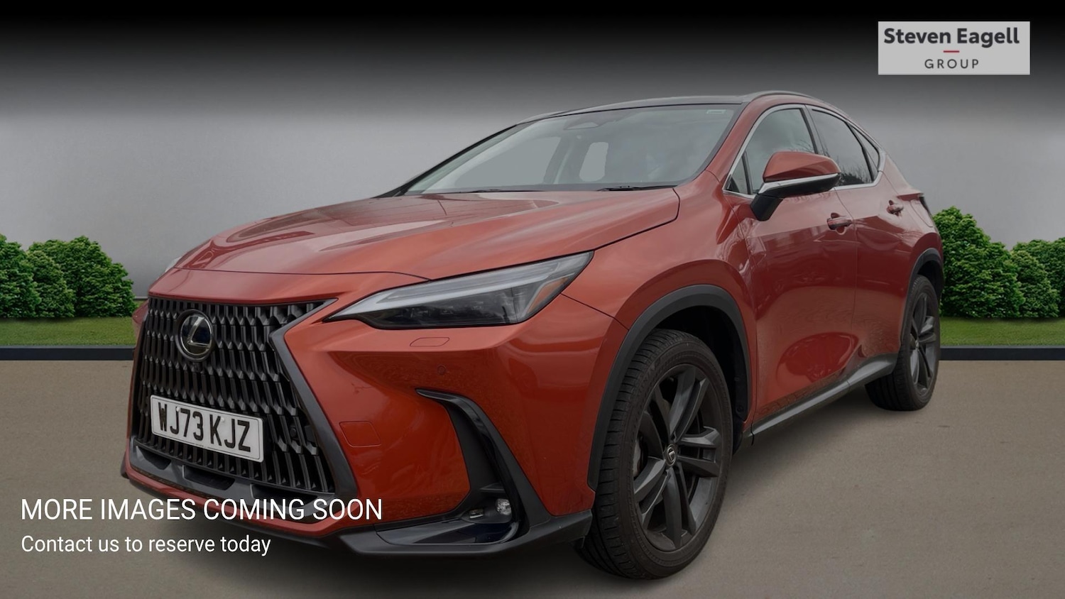 Used Lexus NX 2023 for sale - 77646089: Photo 3