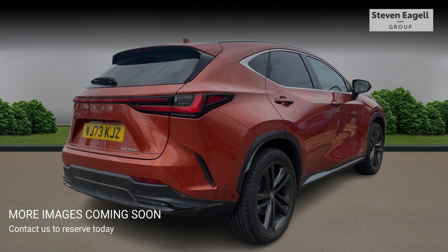 Used Lexus NX 2023 for sale - 77646089: Photo 4