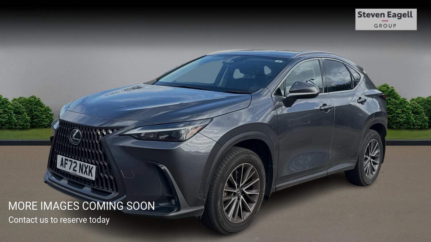 Used Lexus NX for sale - 78136037: Photo 3