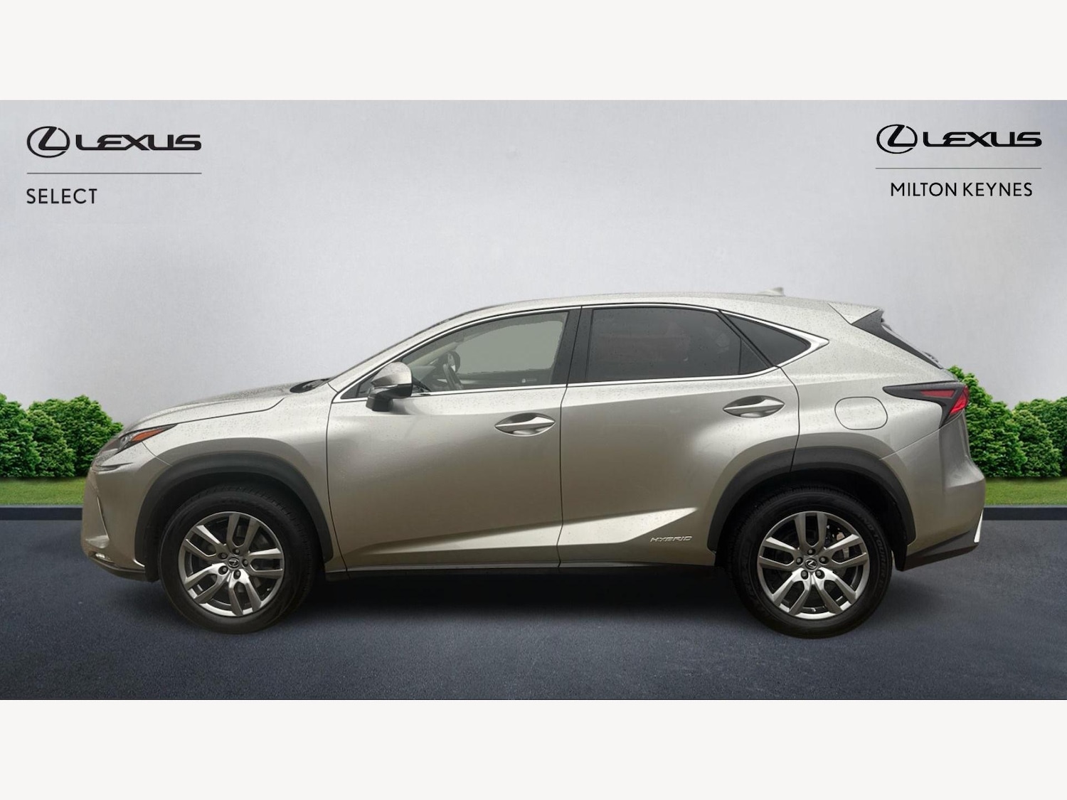 Used Lexus NX 2019 for sale - 77977702: Photo 3