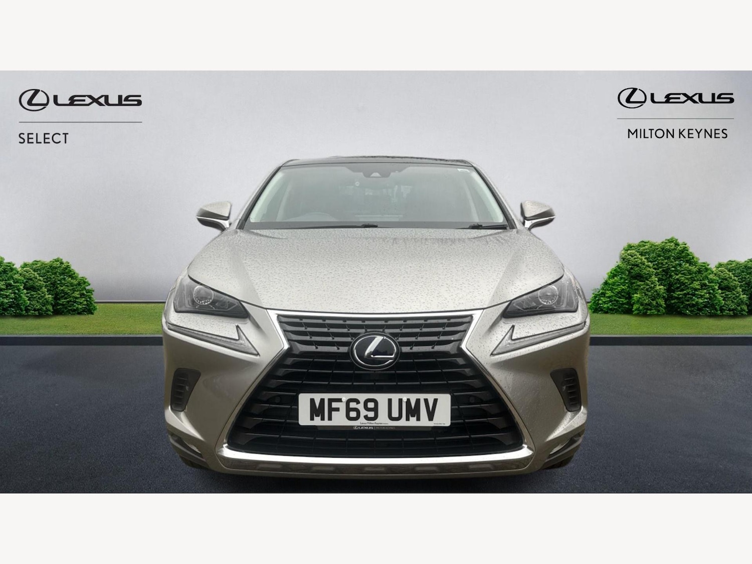 Used Lexus NX 2019 for sale - 77977702: Photo 6