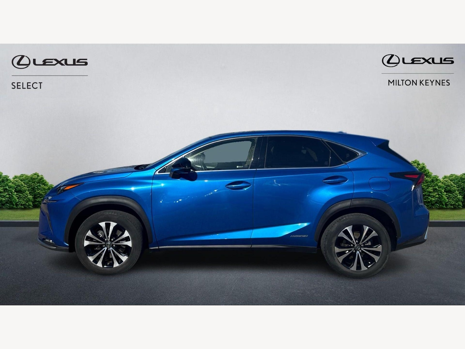 Used Lexus NX 2020 for sale - 77958434: Photo 3