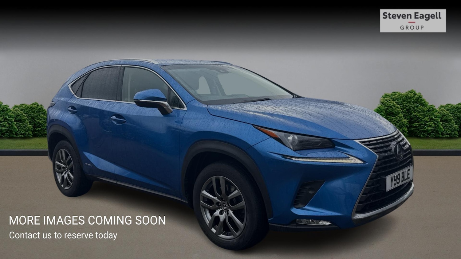 Used Lexus NX for sale - 77574442: Photo 1