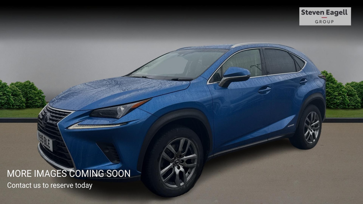Used Lexus NX for sale - 77574442: Photo 3