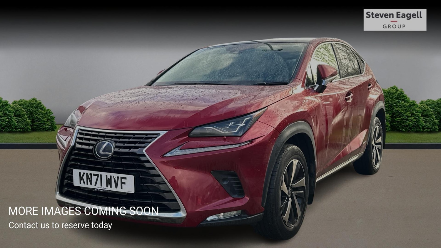 Used Lexus NX for sale - 77242512: Photo 3