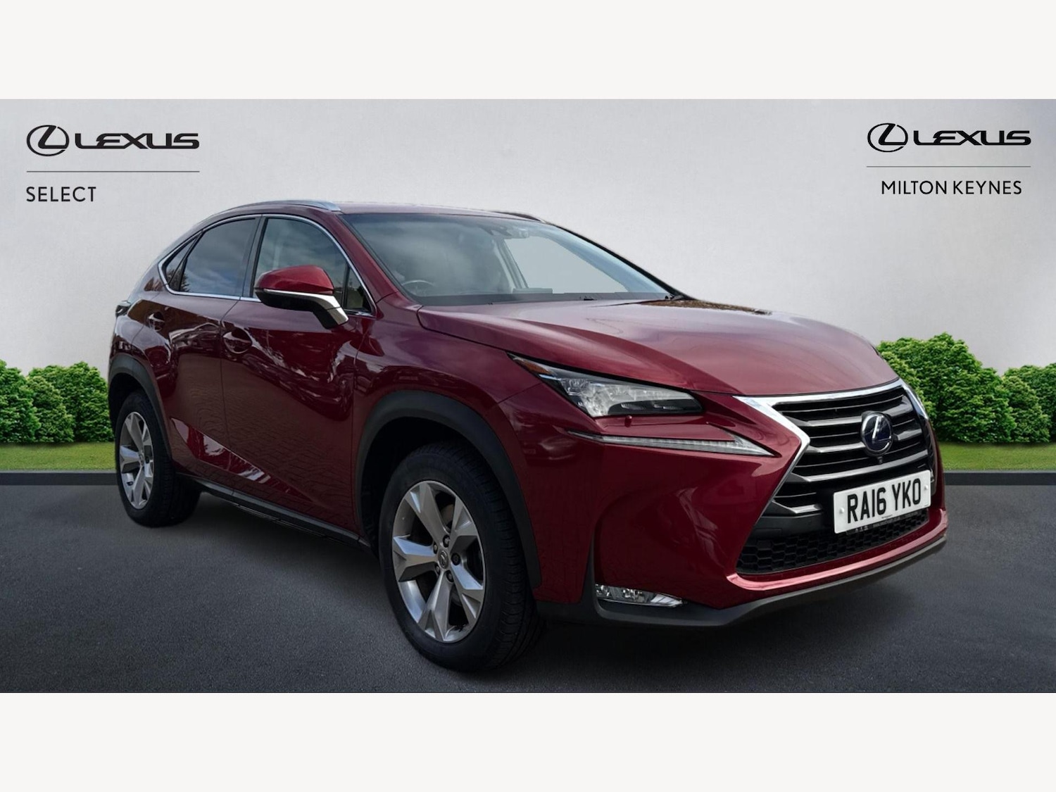 Used Lexus NX for sale - 76326663: Photo 1